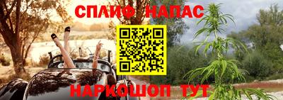 spice Новозыбков