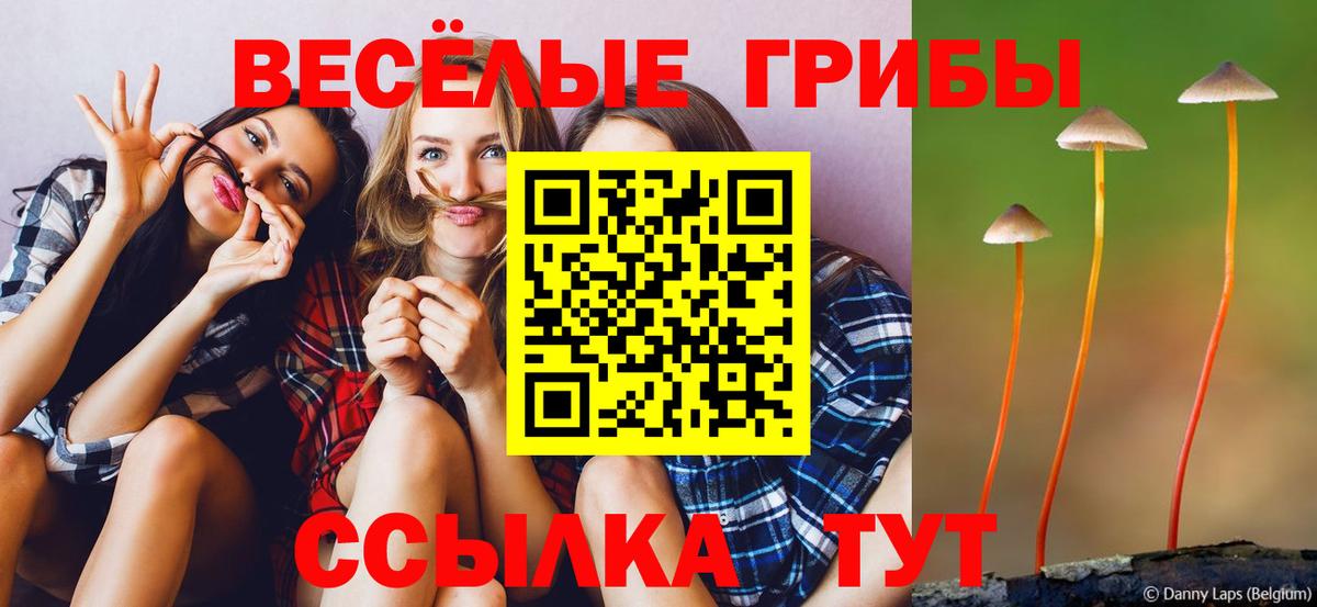 Галлюциногенные грибы Cubensis Видное